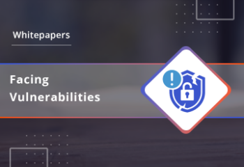 Facing Vulnerabilities